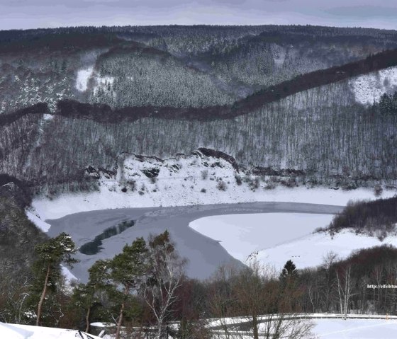 Blick auf den Rursee