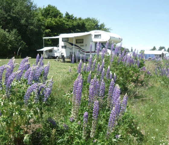 Aire de camping-car à Pulvermaar, © Feriendorf Pulvermaar