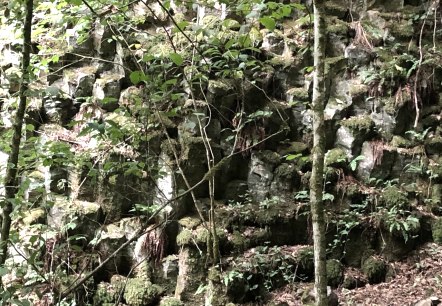 Wolfsschlucht Basaltsäulen, © GesundLand Vulkaneifel GmbH