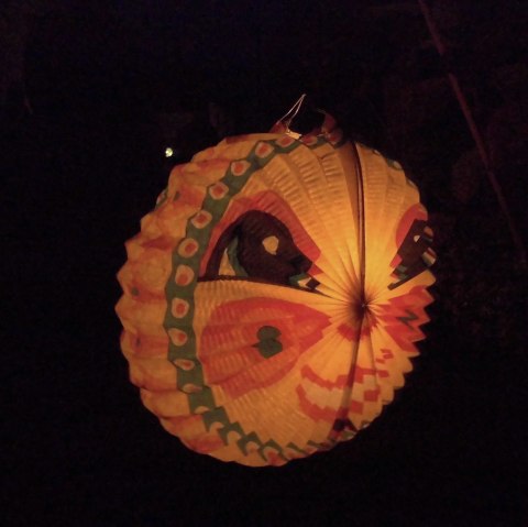 Mondlampion, © Rita Kaiser