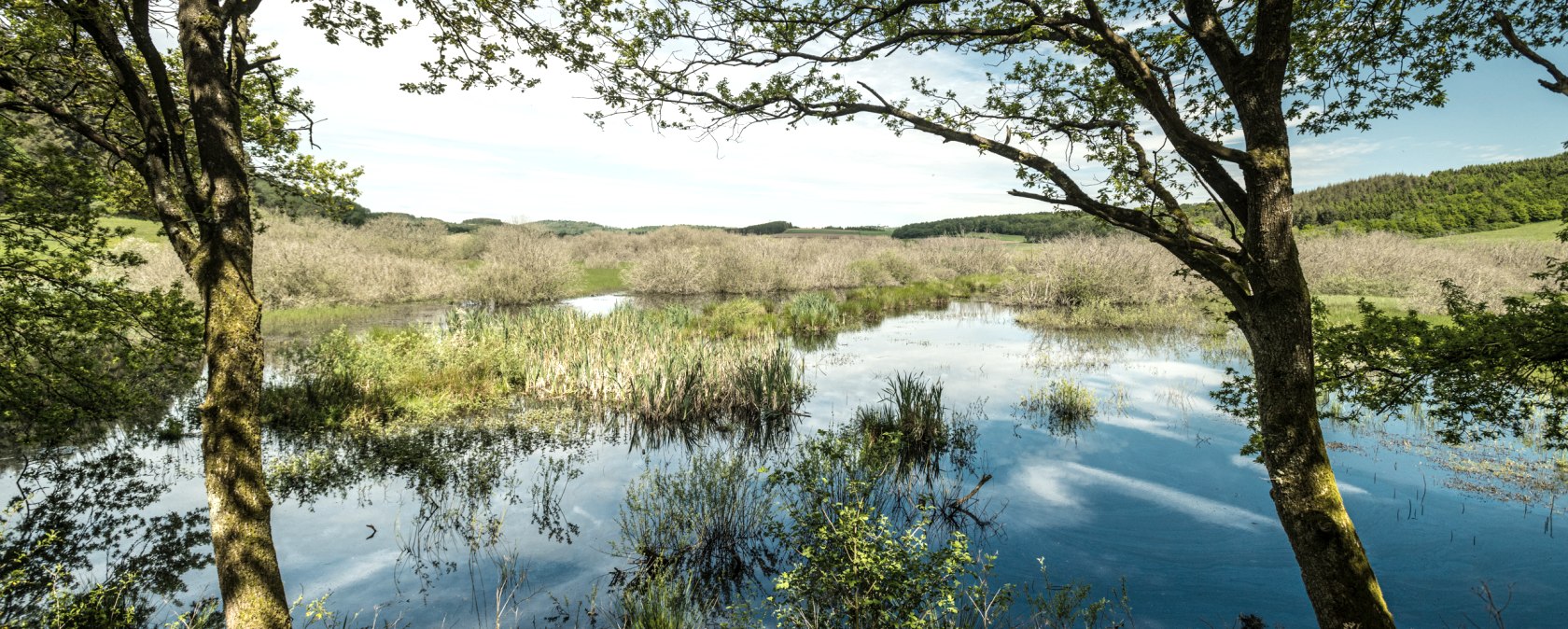 Naturschutzgebiet Murmes, © Eifel Tourismus GmbH, Dominik Ketz