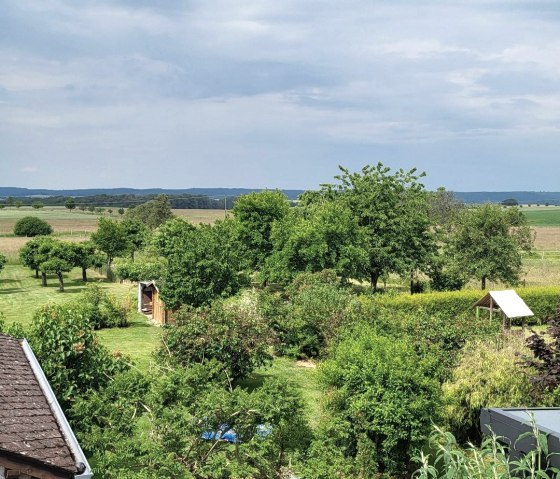 Blick von der Terrasse in die Eifel