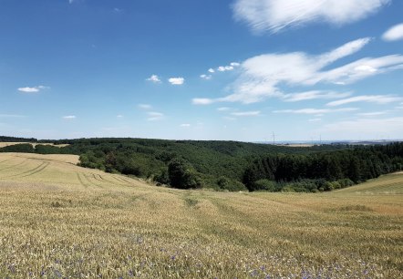 Wiesen und Felder rund um Reudelsterz, © Foto: Svenja Schulze-Entrup, Quelle: Touristik-Büro Vordereifel