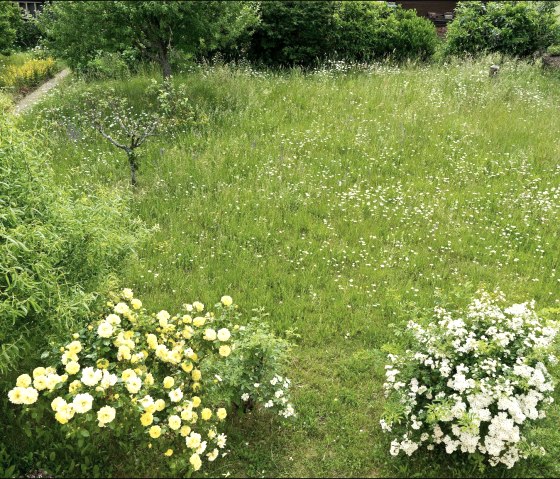 Gartenansicht von oben