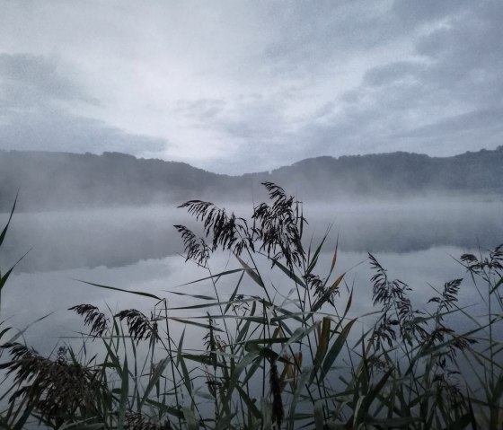 Le Meerfelder Maar dans le brouillard, © Gesundland Vulkaneifel GmbH