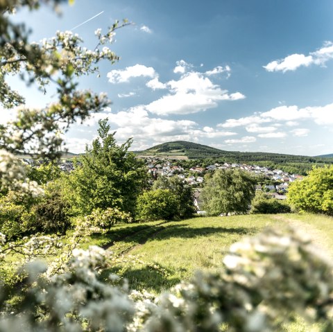 Ausblick auf Ettringen, © Rheinland-Pfalz Tourismus GmbH, D. Ketz