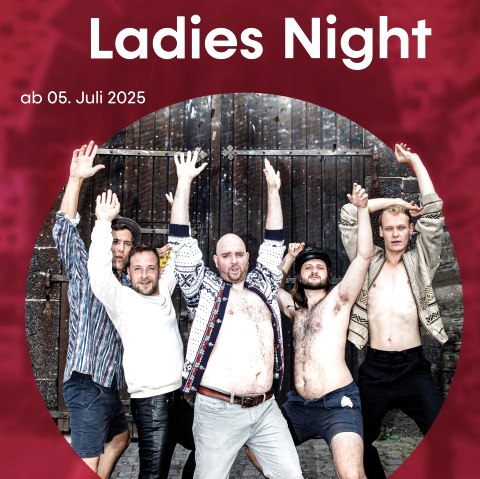 Plakat - Ladies Night