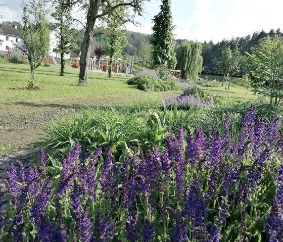 Blüteninsel im Inklusionsgarten, © Tourist-Information Hocheifel-Nürburgring