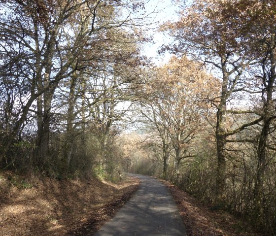 Prüm-Radweg zwischen Heilhauser Mühle und Waxweiler, © Tourist-Information Islek