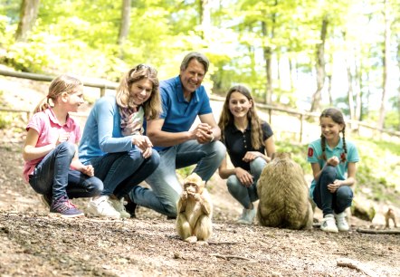 Affen füttern im Wild- und Erlebnispark Daun, © Eifel Tourismus GmbH, Dominik Ketz