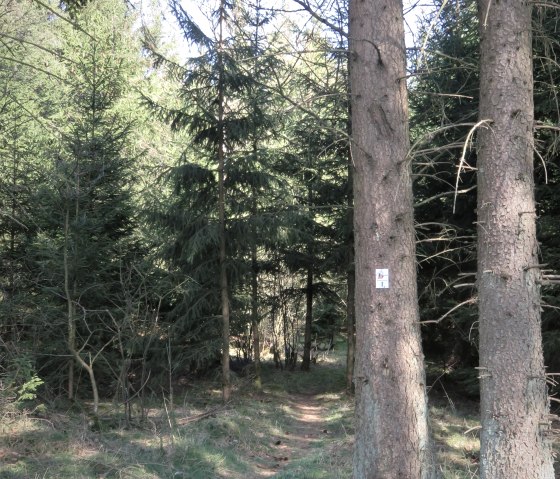 Wanderweg an der Quelle, © TI Kelberg