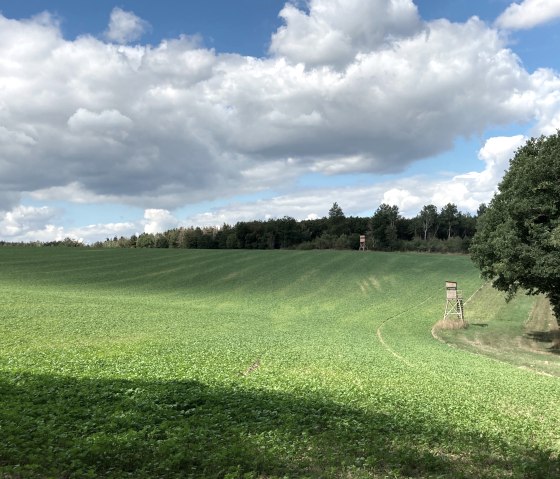 Aussicht Landschaft, © EifelWohl-GesundErleben/Tanja Otto