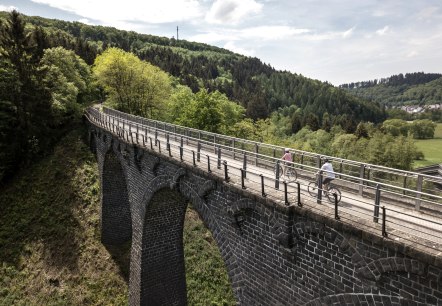 Radtour über Viadukt bei Daun am Maare-Mosel-Radweg, © Eifel Tourismus GmbH, D. Ketz