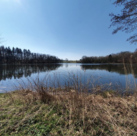 Das Holzmaar, © GesundLand Vulkaneifel GmbH