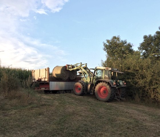 Traktor (mit-) fahren