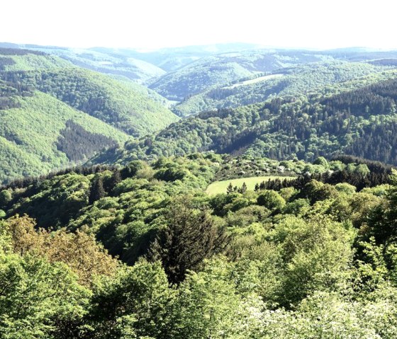 Blick vom Steinerberg, © Pannhausen