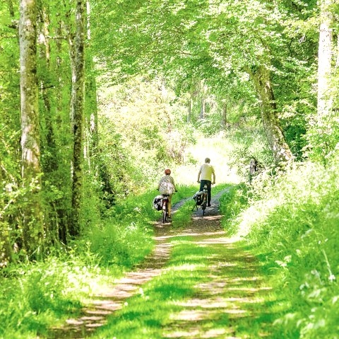 Wander- Radweg Wacholderschutzgebiet, © TI Kelberg