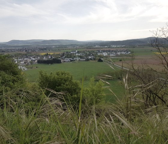 Blick auf Bombogen, © Tourist Information Wittlich Stadt & Land