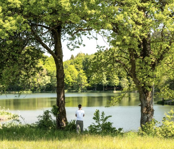 Holzmaar, © GesundLand Vulkaneifel GmbH