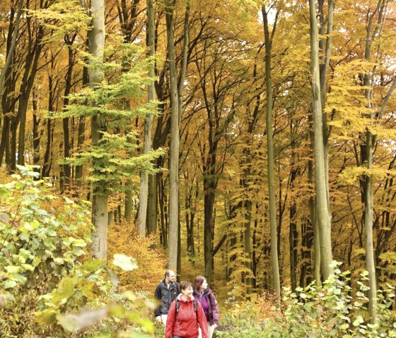 Wandern am Gemündener Maar, © GesundLand Vulkaneifel/D. Ketz