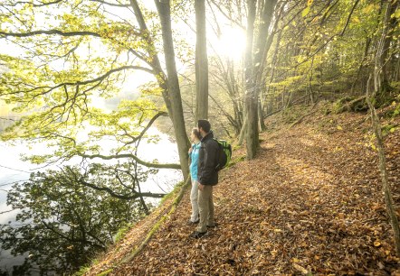 Wandern durch die Wälder der Eifel, © Eifel Tourismus GmbH, D. Ketz