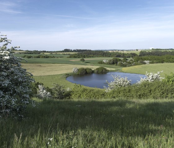 Trautzberger Maar, © Natur- und Geopark Vulkaneifel