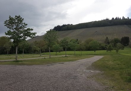 Blick auf die Weinberge vom Wohnmobilstellplatz, © Tourist-Information Wittlich Stadt & Land