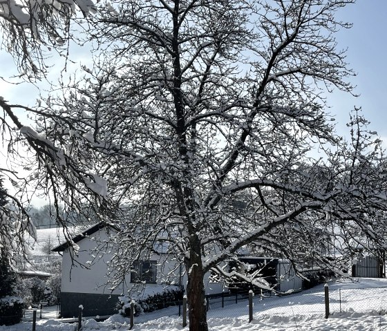 Schnee in Ihrem Ferienzuhause