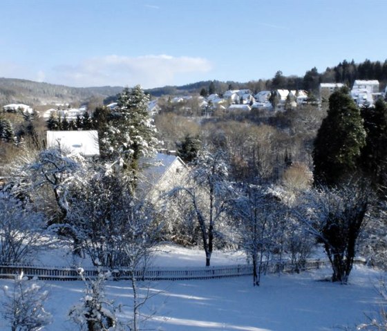 Fensterblick im Winter