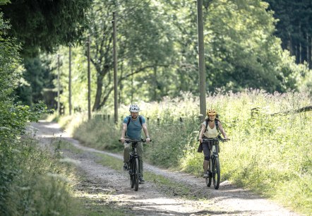 Weg im Prethbachtal, © Eifel Tourismus GmbH, Dennis Stratmann