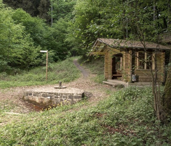 Dockweiler Drees, © Natur- und Geopark Vulkaneifel