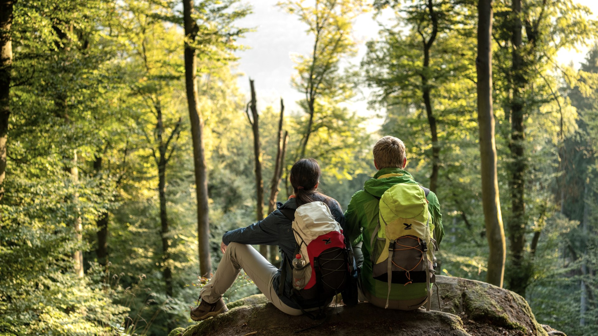 Herbst im NaturWanderPark delux, © Eifel Tourismus GmbH, D. Ketz