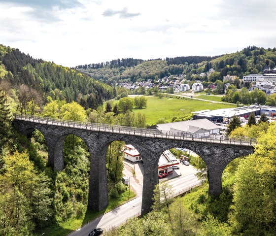 Gesundland Vulkaneifel-2020-290-Daun