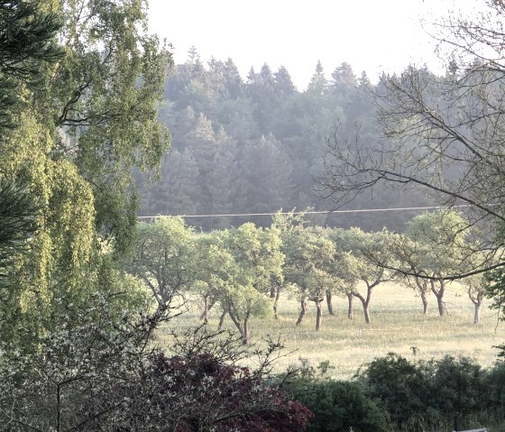 Blick vom Garten nach Norden