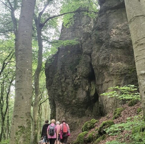 Gerolsteiner Krimisteig, © Brunhilde Rings