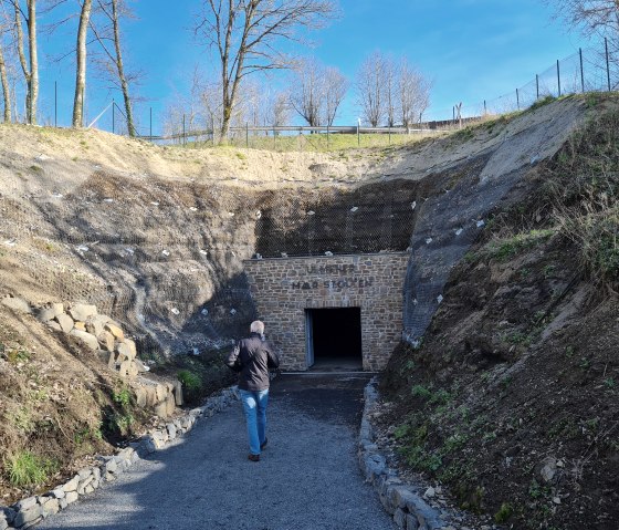 Galerie du Maar à l'étang de la Vierge