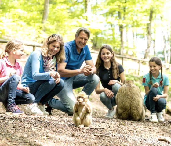 Affen füttern im Wild- und Erlebnispark Daun, © Eifel Tourismus GmbH, Dominik Ketz