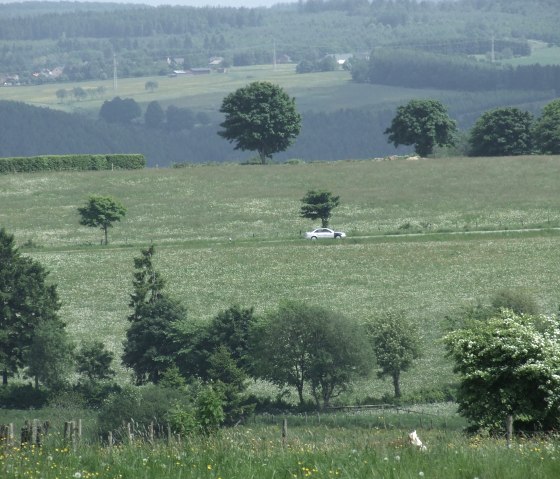 Aussicht2, © Nordeifel Tourismus GmbH & Gästehaus Jütten