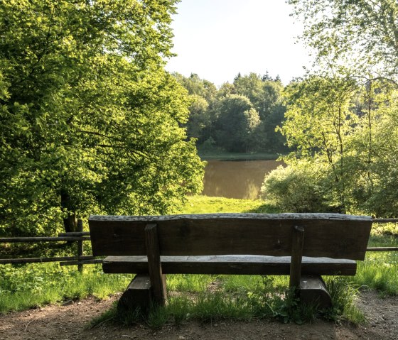 Bank zum entspannen am Windsborn-Kratersee, © GesundLand Vulkaneifel/D. Ketz