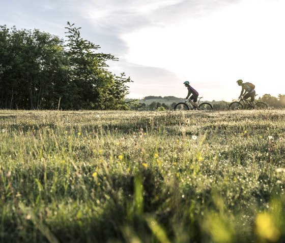 Mountainbiken im Herzen der Vulkaneifel, © inMEDIA