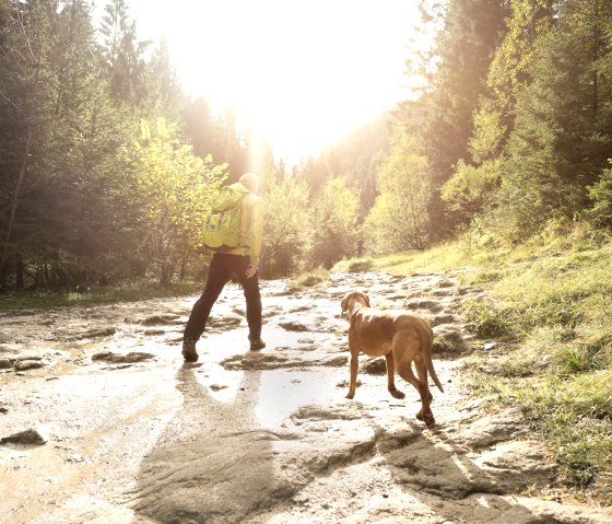 Wandern mit Hund