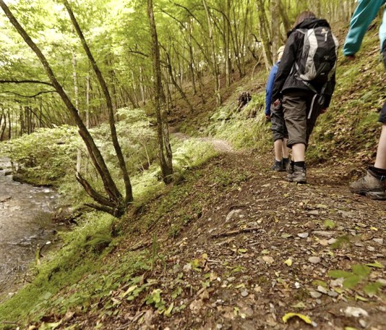 Wanderung, © Archiv GesundLand Vulkaneifel