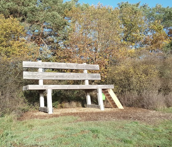 Baumelbank im Herbst, © Foto: Svenja Schulze-Entrup, Quelle: Touristik-Büro Vordereifel