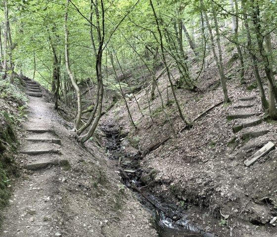 Auf der Wanderroute Nr. 43, © Rureifel-Tourismus e.V., Dennis Winands