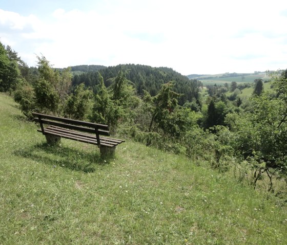 Blick in die Schönecker Schweiz, © Tourist-Information Prümer Land