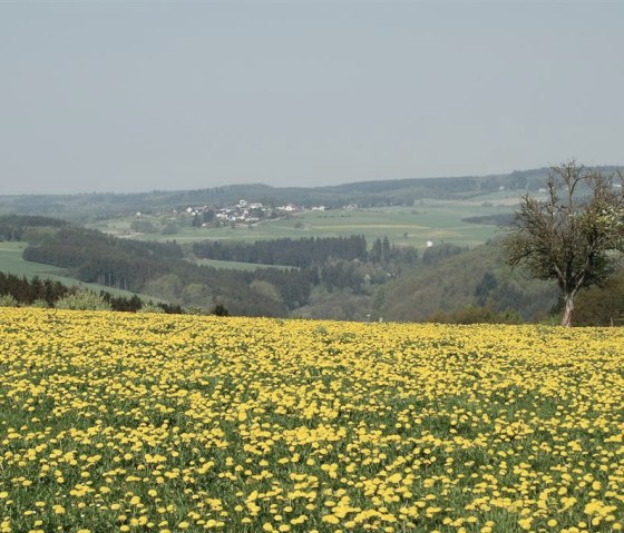 Rund um Wershofen_5, © Landgasthaus Pfahl