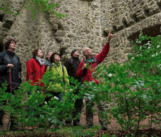 Excursion guidée "Portion exquise du sentier de l'Eifel"., © Johannes Munkler