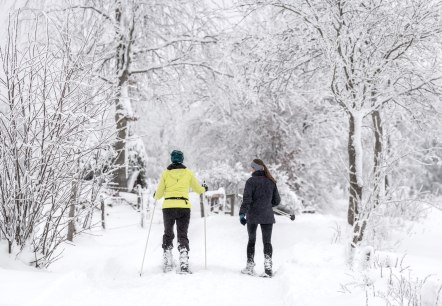 Schneewandern, © Eifel Tourismus GmbH, Dominik Ketz