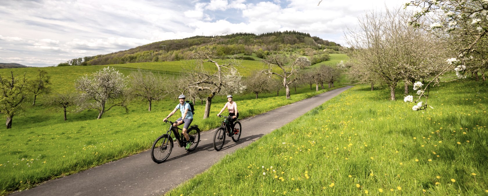 Im Frühjahr führt die Radreise durch blühende Streuobstwiesen im Naturpark Südeifel, © Eifel Tourismus GmbH, Dominik Ketz