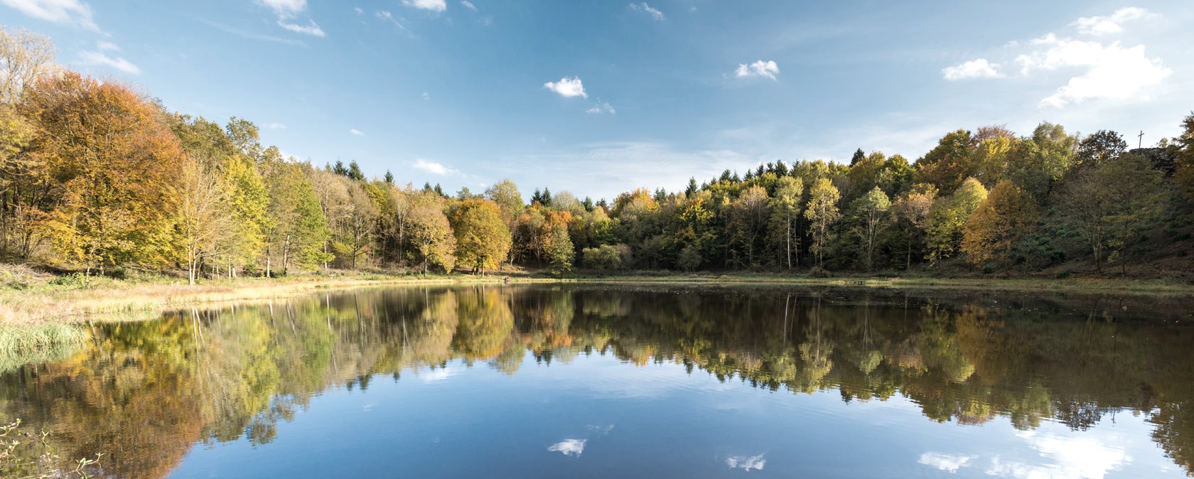 Herbst am Windsborn-Kratersee, © Eifel Tourismus GmbH, D. Ketz